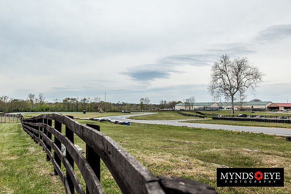 120414_WERA-0057