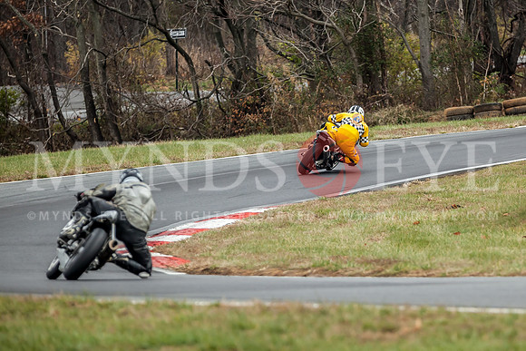 131117_WERA-0087