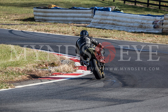 131116_WERA-0015